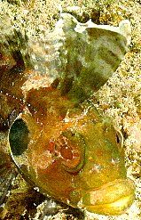 Roatan, Honduras. by Shawn Jackson 